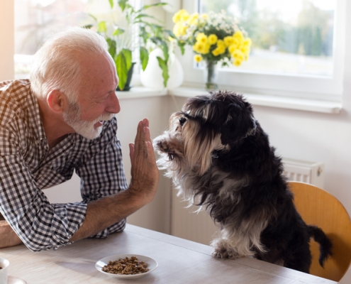 health benefits to pets for seniors