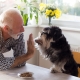 health benefits to pets for seniors