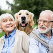 Benefits of seniors owning pets