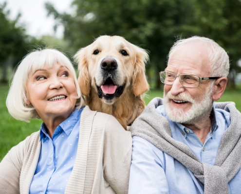 Benefits of seniors owning pets