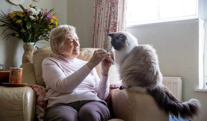 pet therapy for seniors